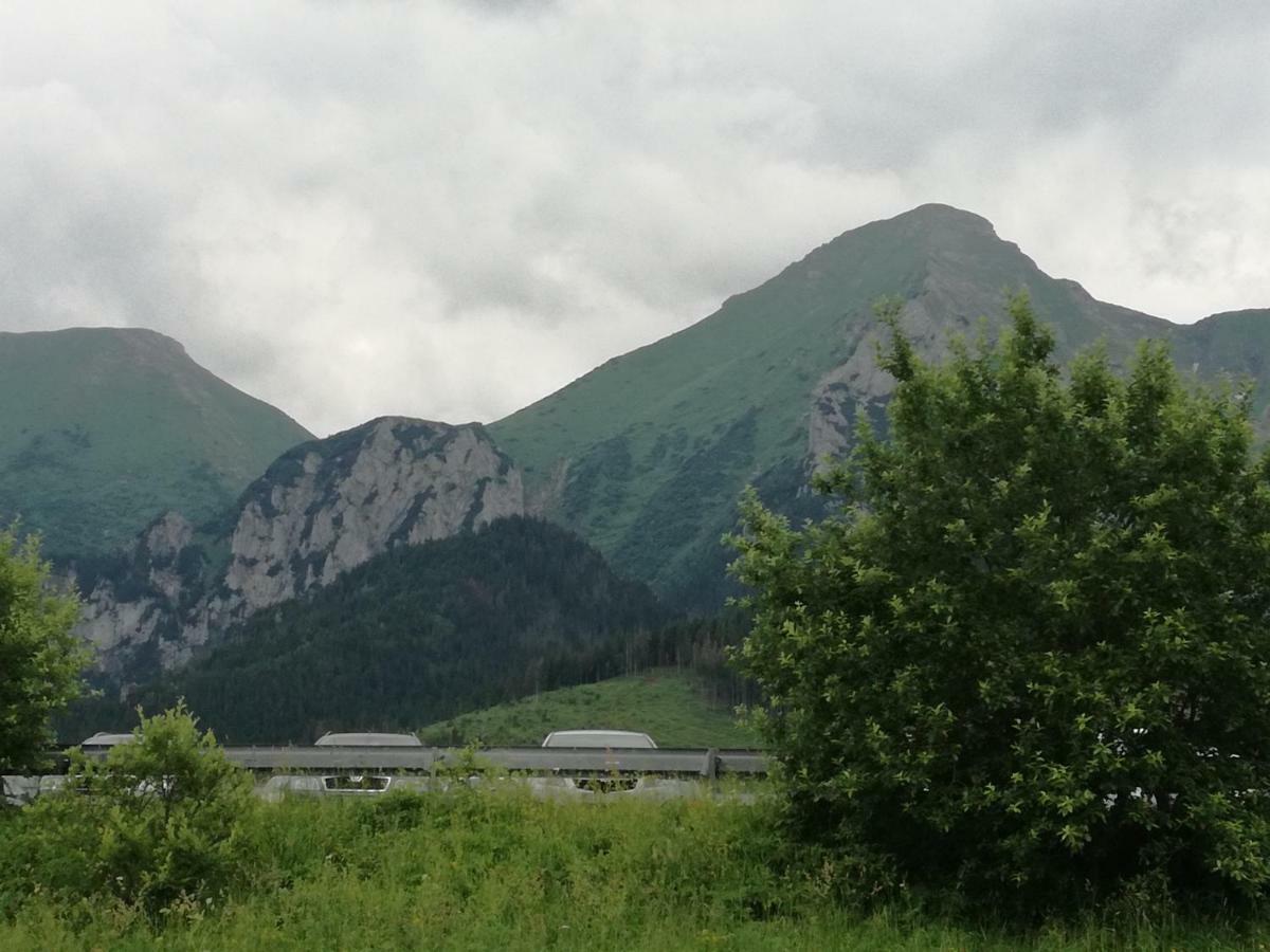Apartamento Ziaciówka Rzepiska Exterior foto